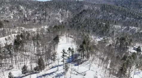 Lot 26-2 Scarboro Road Freedom NH 03836