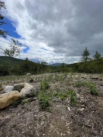 Lot 26-2 Scarboro Road Freedom NH 03836