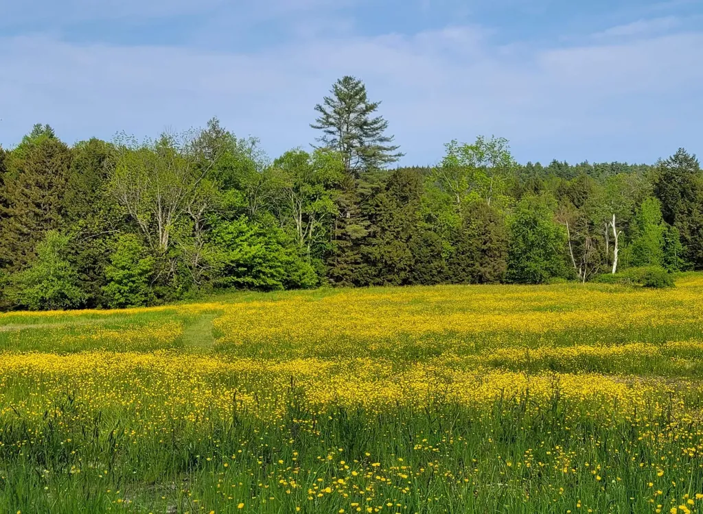 713 South Hill Road Ludlow VT 05149