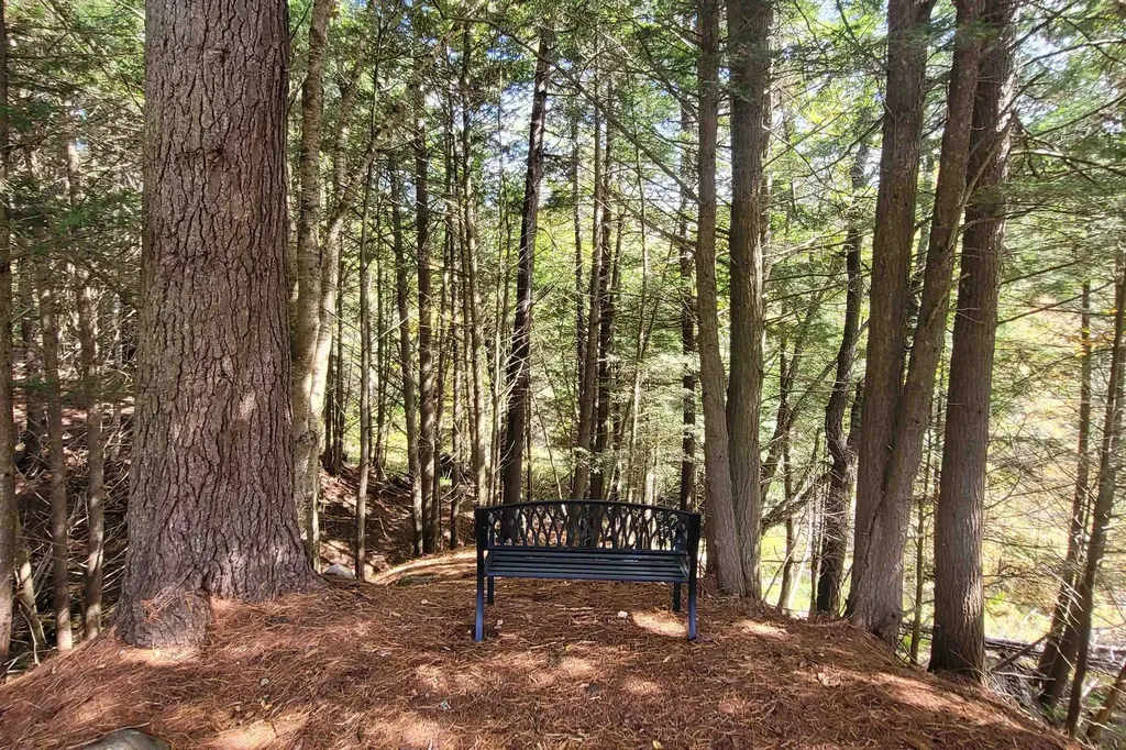 713 South Hill Road Ludlow VT 05149