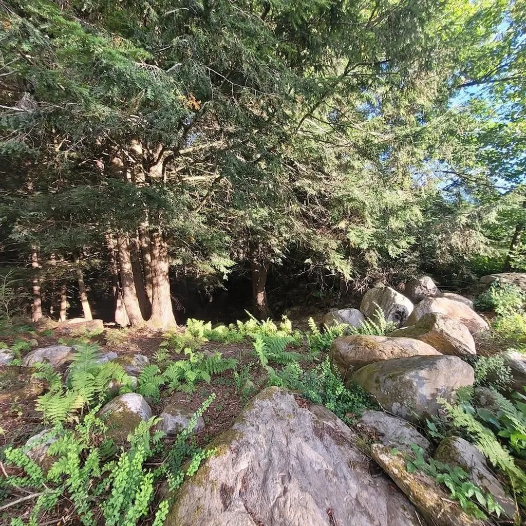 713 South Hill Road Ludlow VT 05149