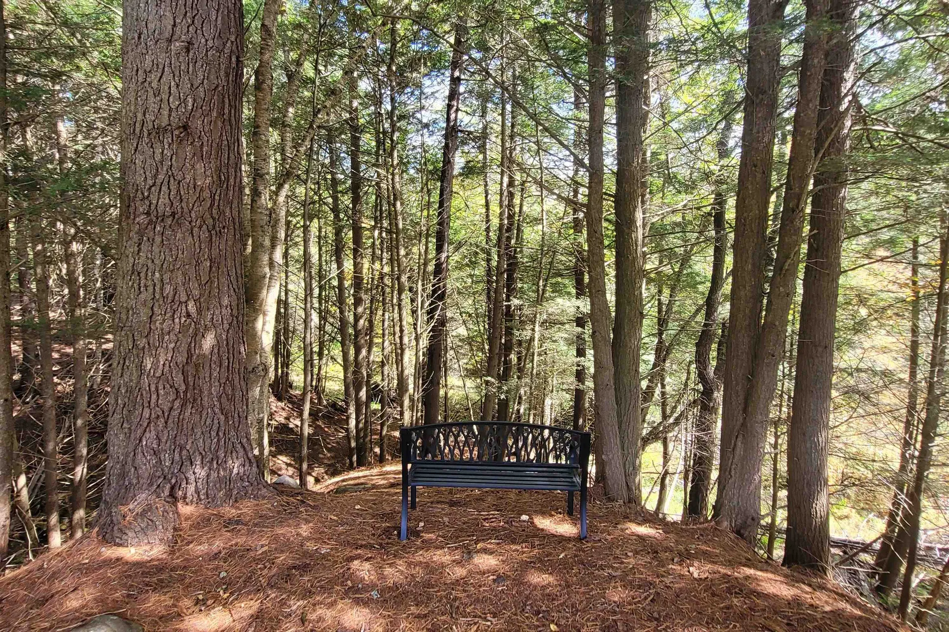 713 South Hill Road Ludlow VT 05149