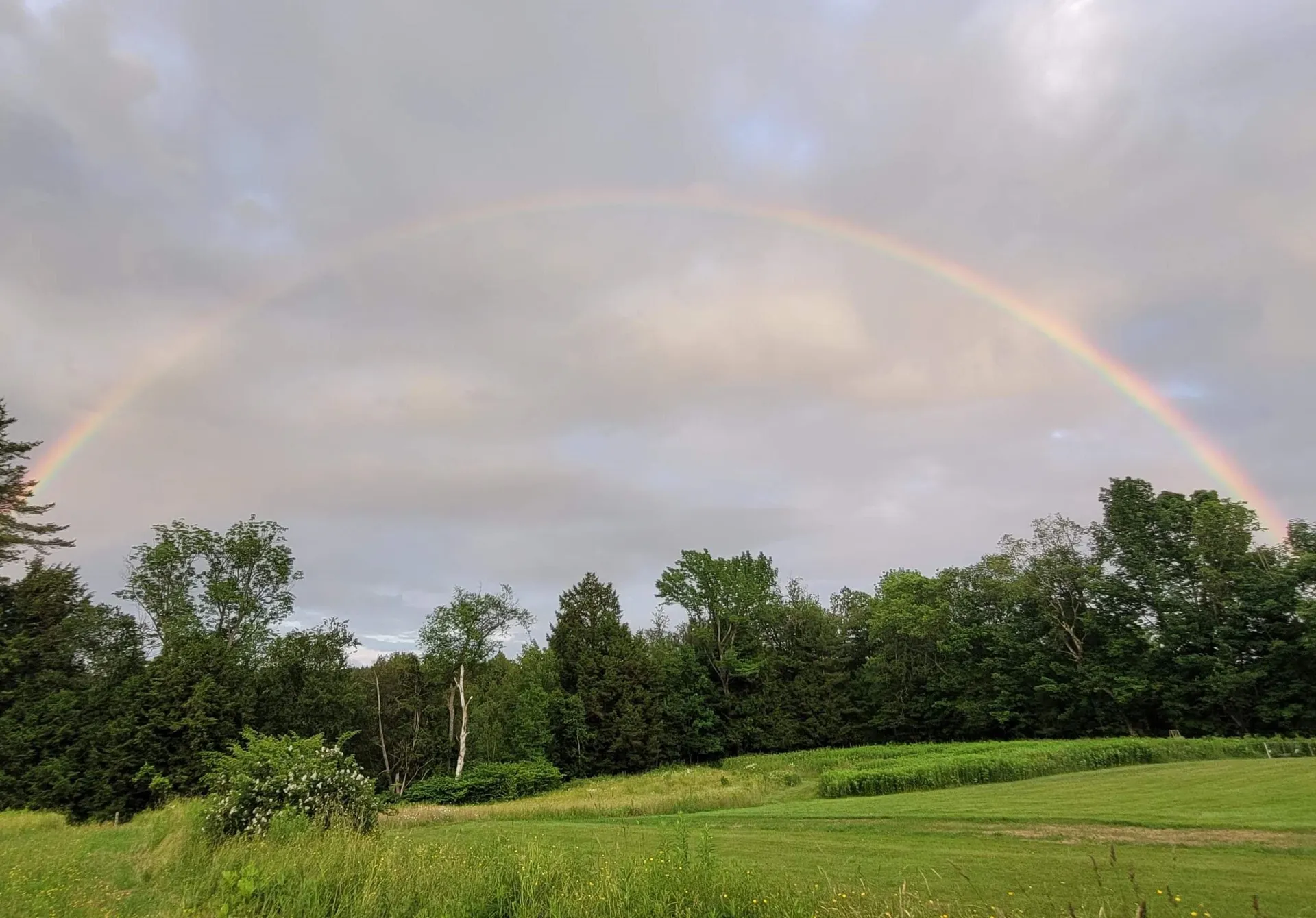 713 South Hill Road Ludlow VT 05149