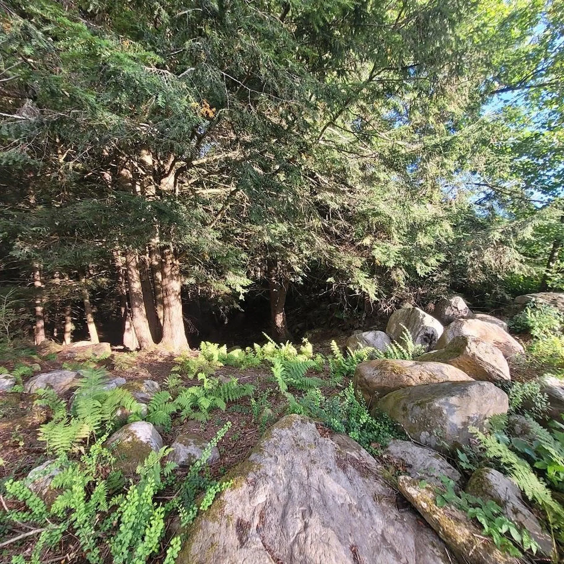 713 South Hill Road Ludlow VT 05149