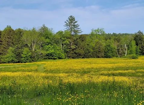 713 South Hill Road Ludlow VT 05149