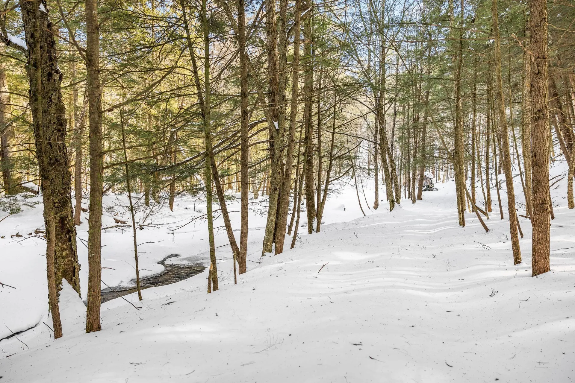 68 Doe Lane Newbury VT 05051