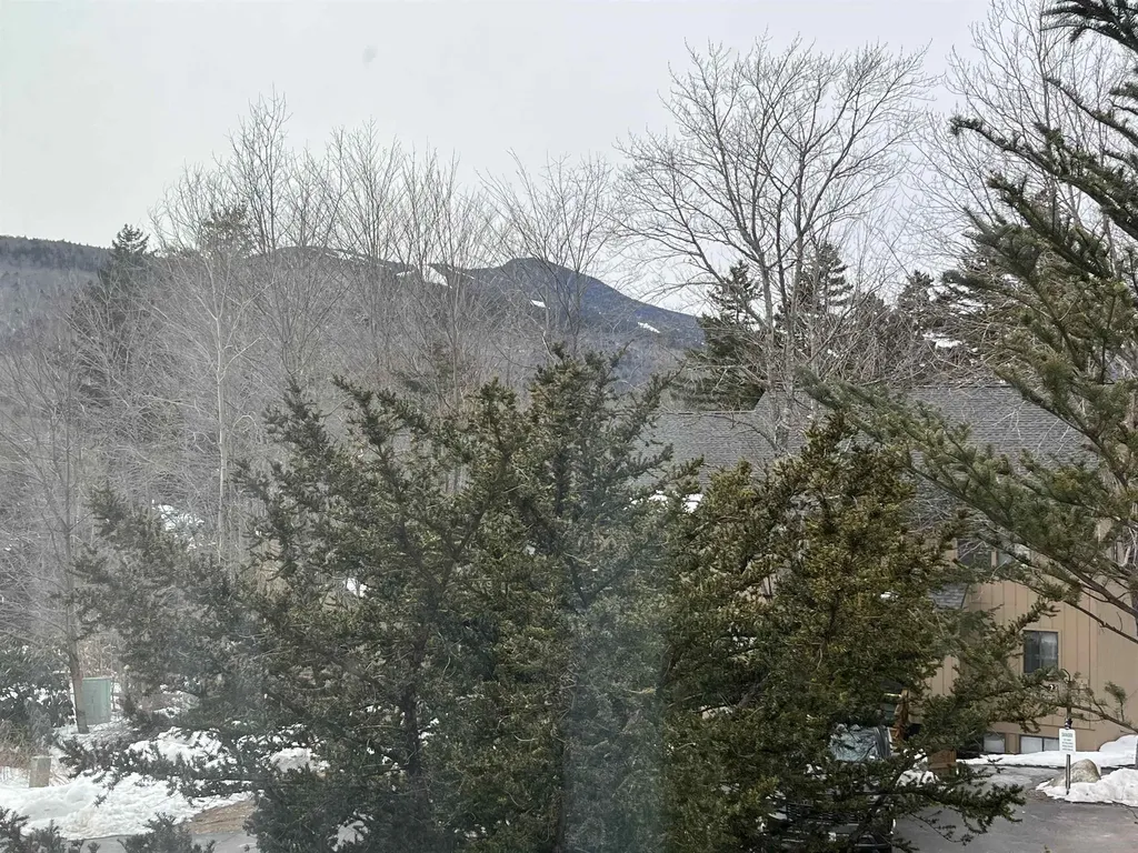 26 Windsor Hill Way Waterville Valley NH 03215