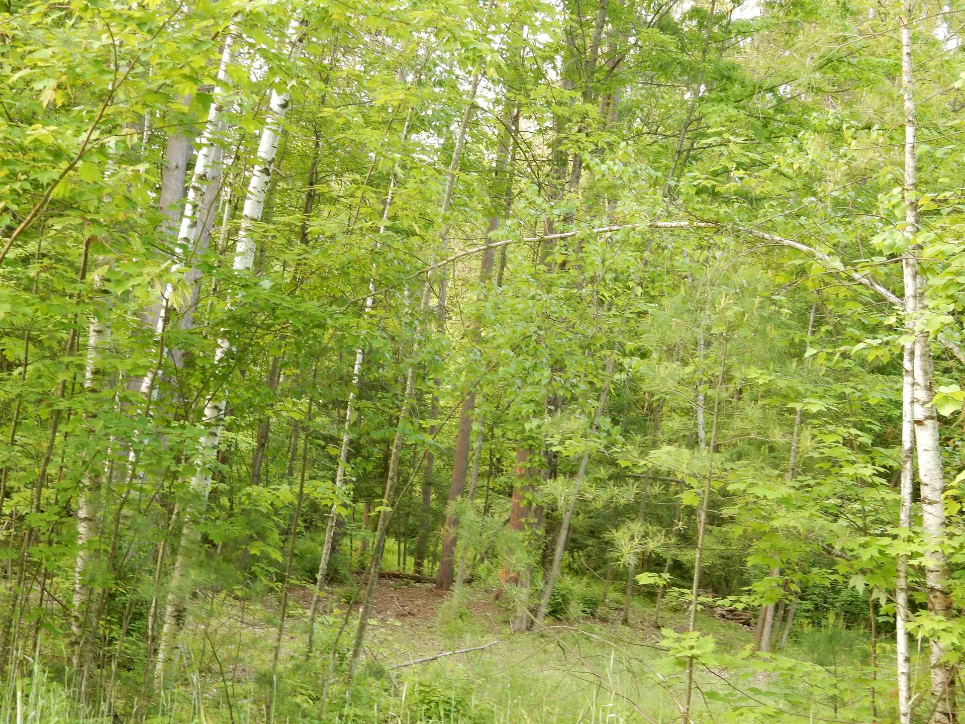 00 Pine Street Newport City VT 05855