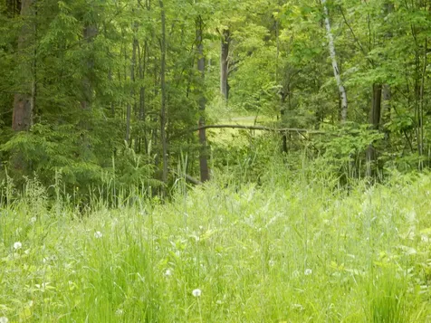 00 Pine Street Newport City VT 05855