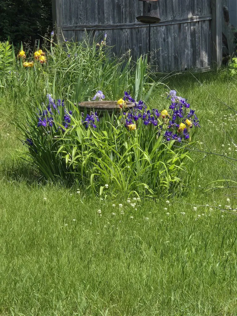 2 Hutchinson Street Franklin NH 03235