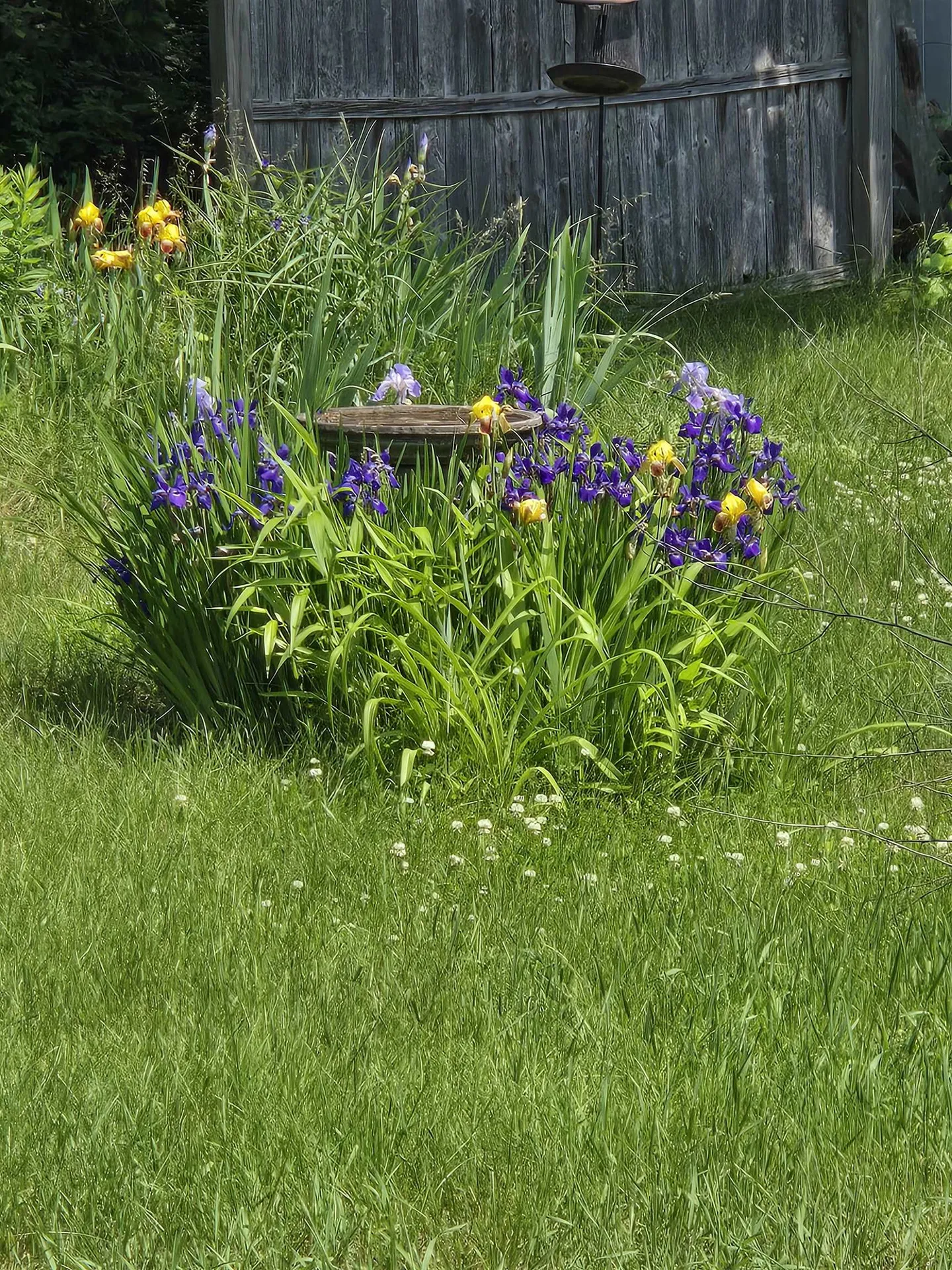 2 Hutchinson Street Franklin NH 03235