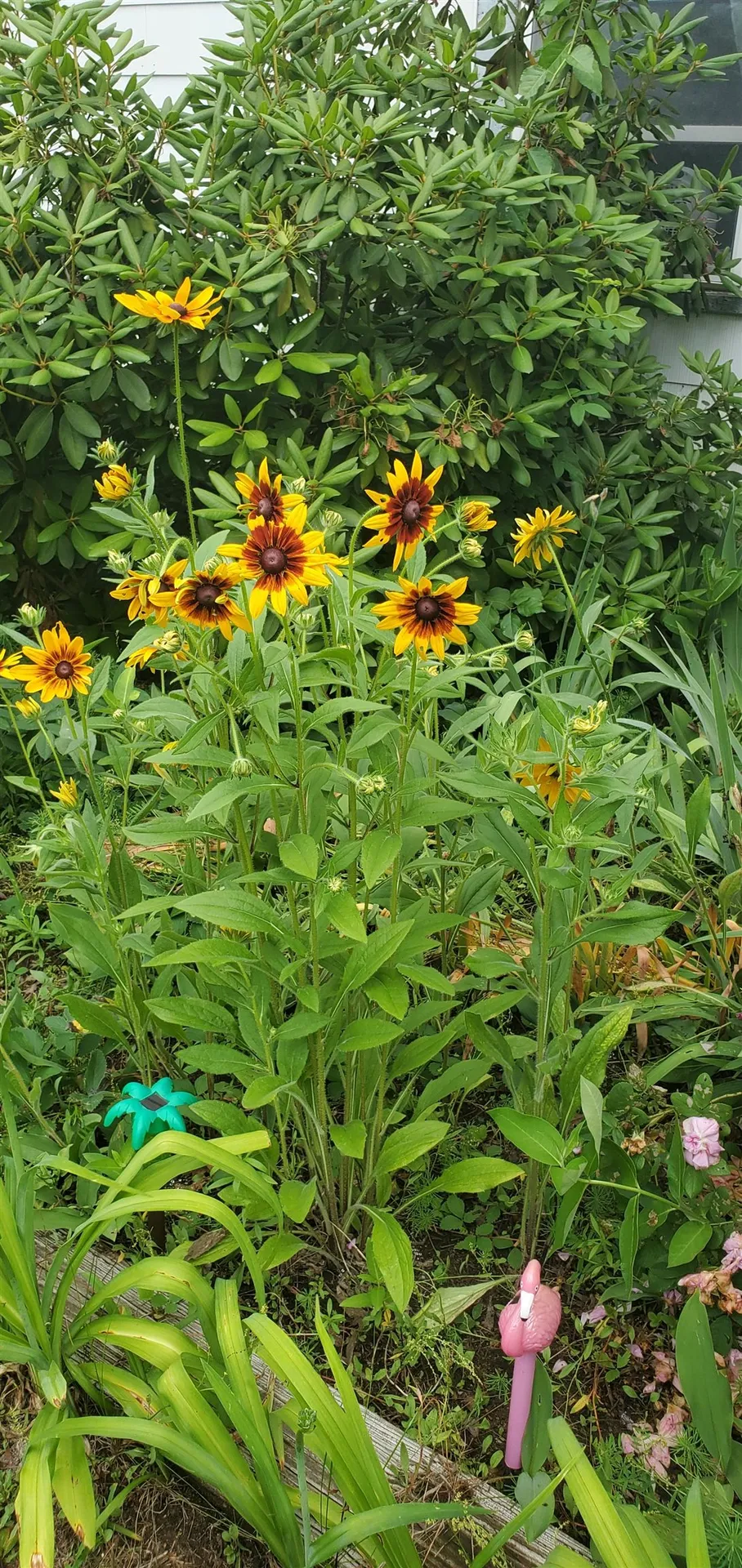 2 Hutchinson Street Franklin NH 03235