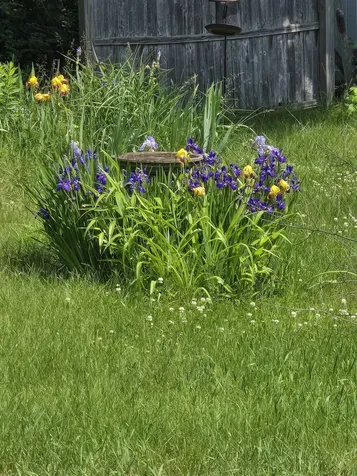 2 Hutchinson Street Franklin NH 03235