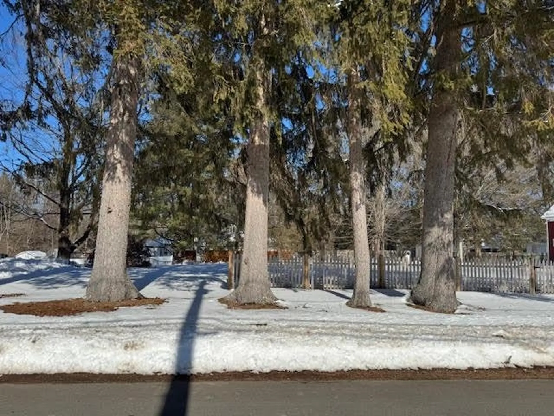 8 Adams Avenue Rochester NH 03867