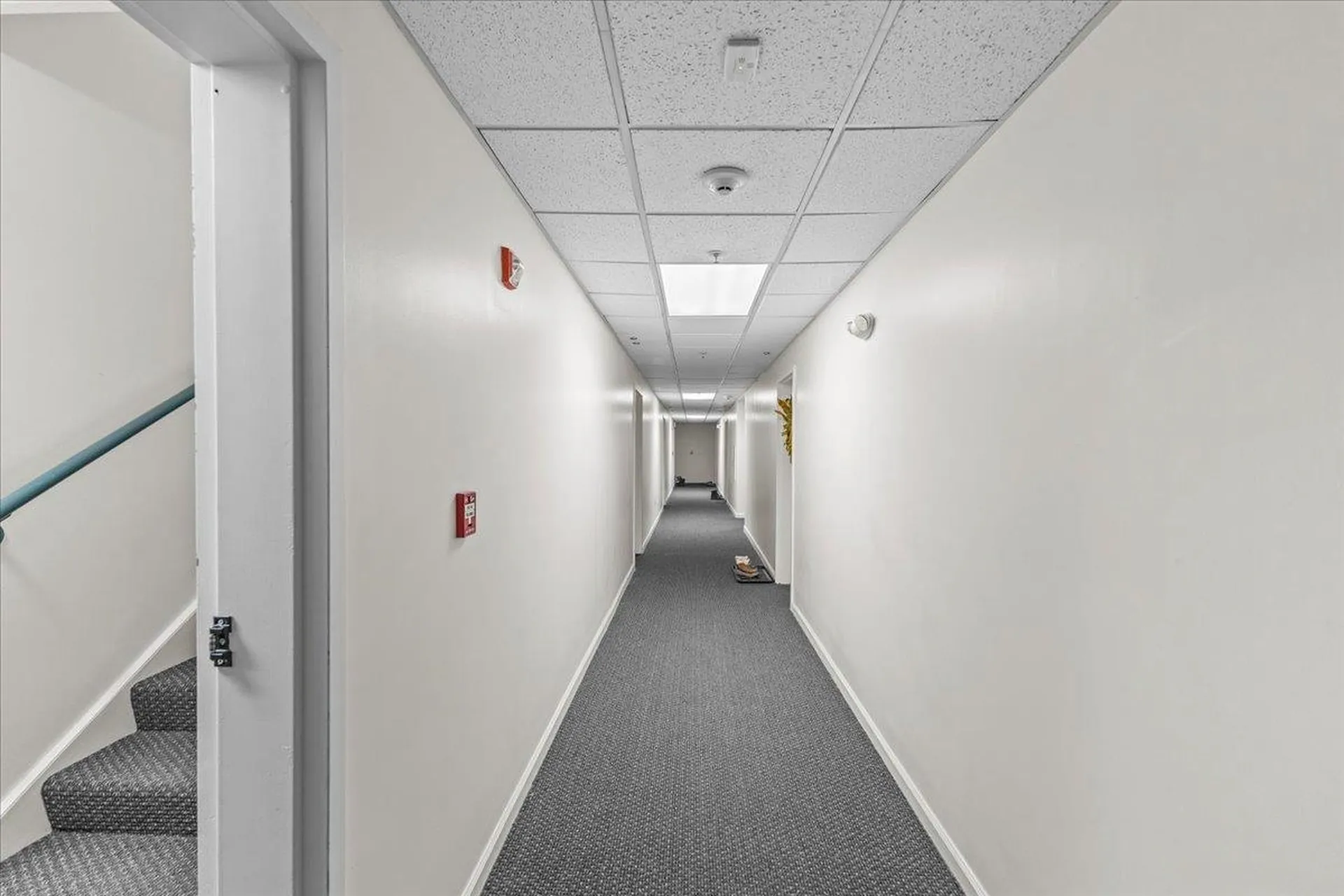 117 Hildred Drive Burlington VT 05401