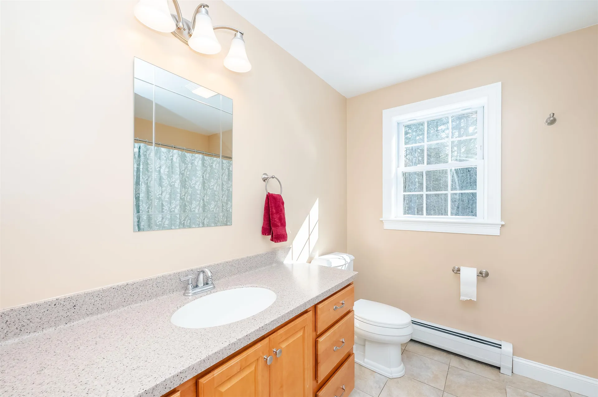 82 Ebony Drive Rochester NH 03867