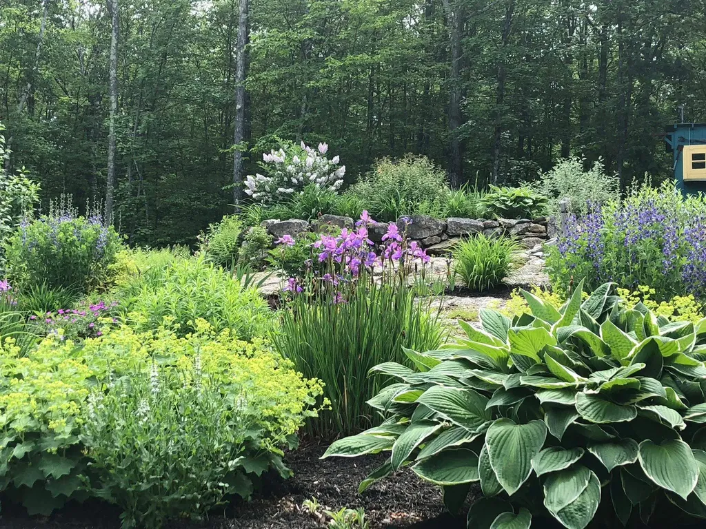 11 Birch Ledge Road Meredith NH 03253