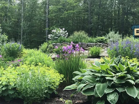 11 Birch Ledge Road Meredith NH 03253