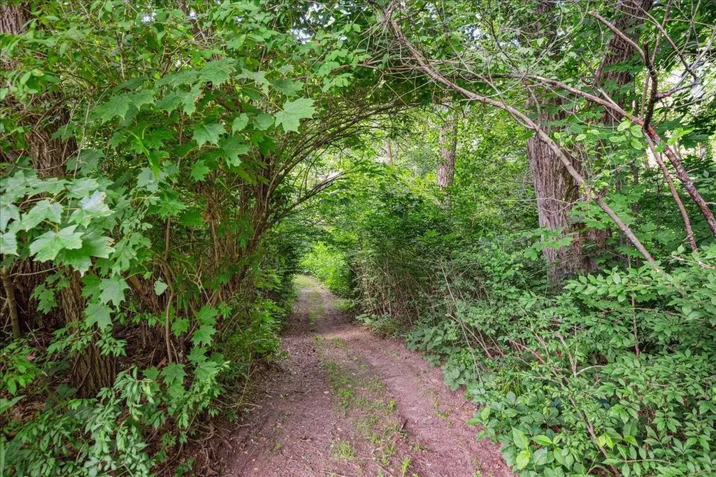 7 Grassy Brook Road Brookline VT 05345