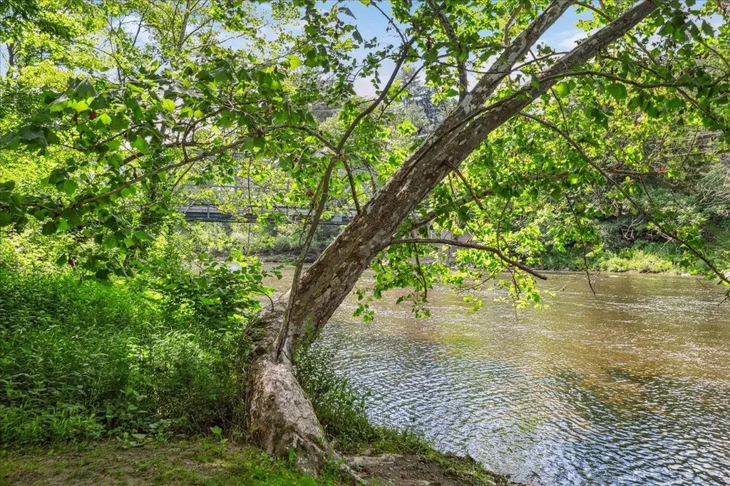 7 Grassy Brook Road Brookline VT 05345