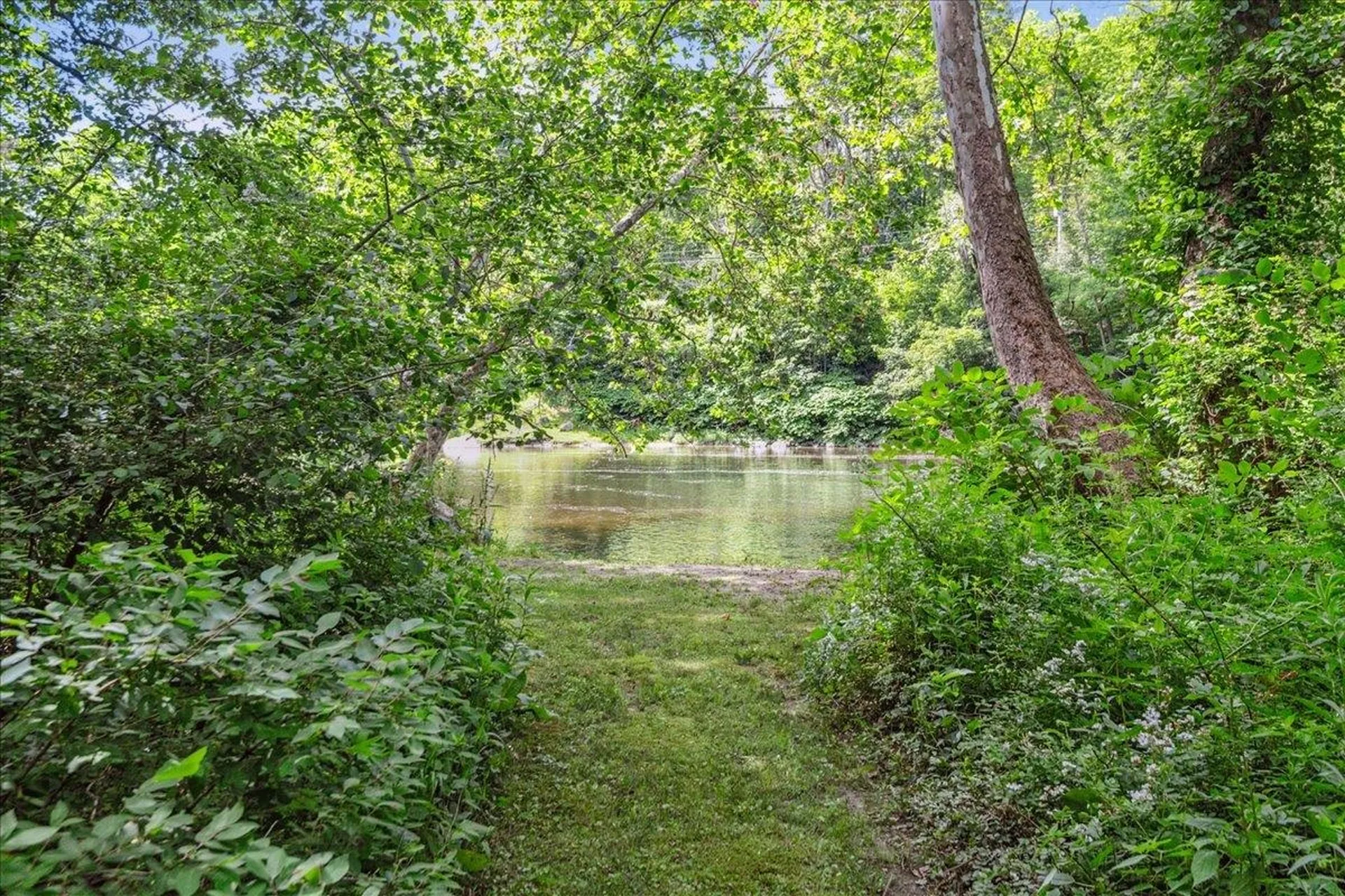 7 Grassy Brook Road Brookline VT 05345