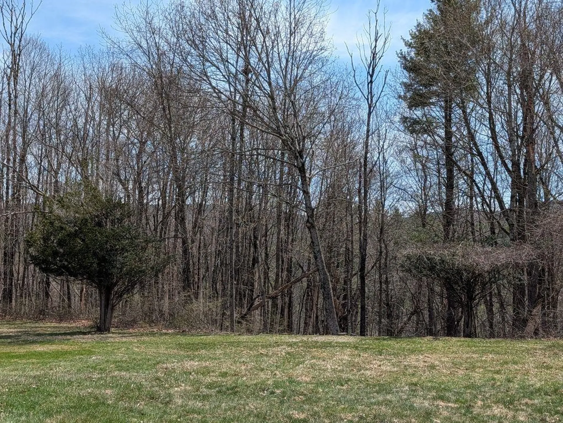 97 Fairview Drive Pittsfield NH 03263