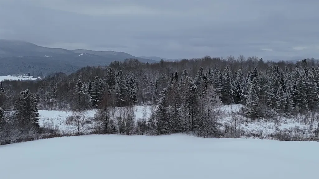 0 Hinman Settler Road Brownington VT 05860