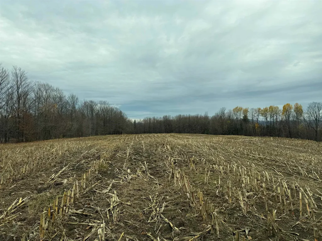 0 Hinman Settler Road Brownington VT 05860