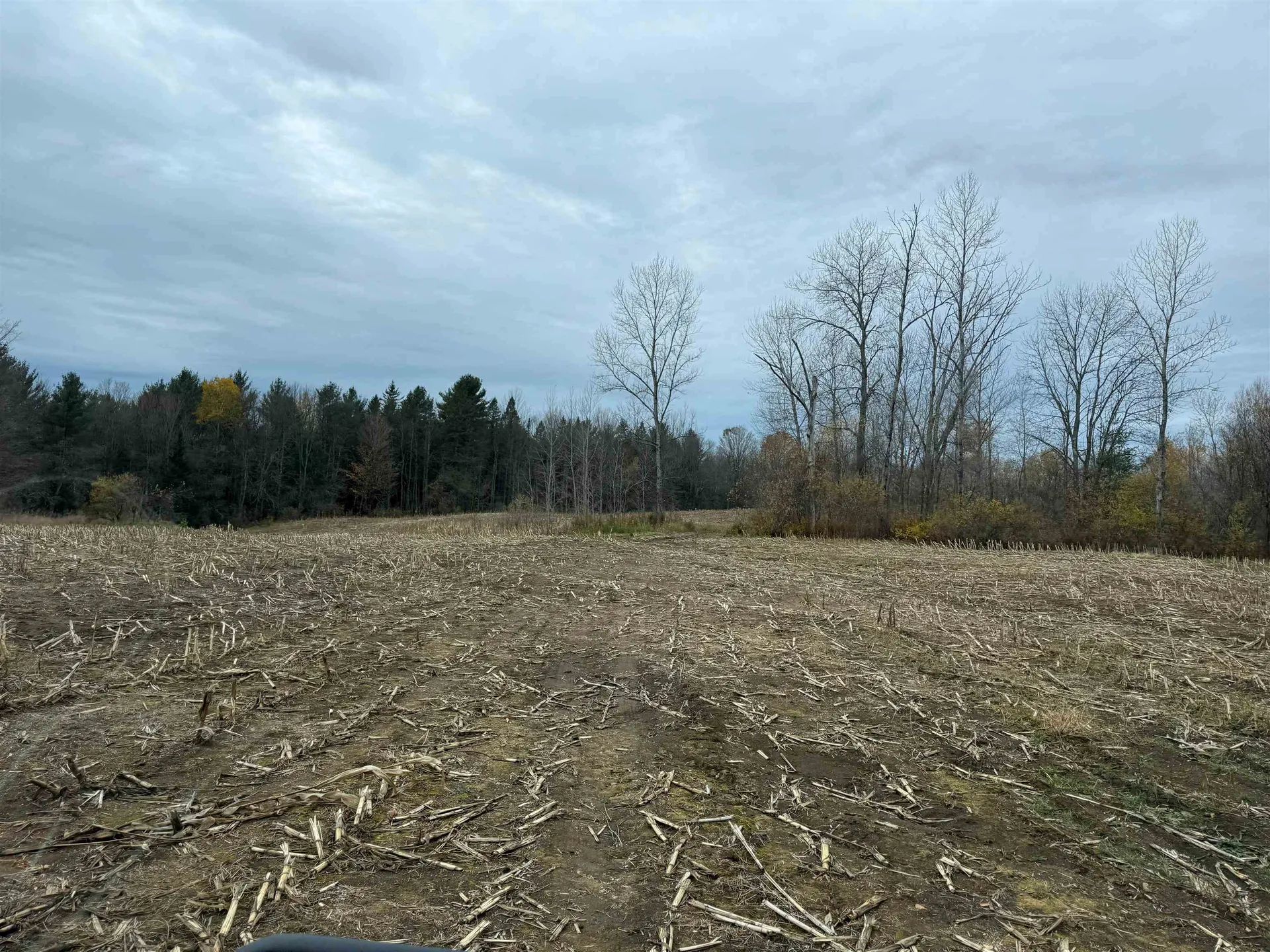 0 Hinman Settler Road Brownington VT 05860