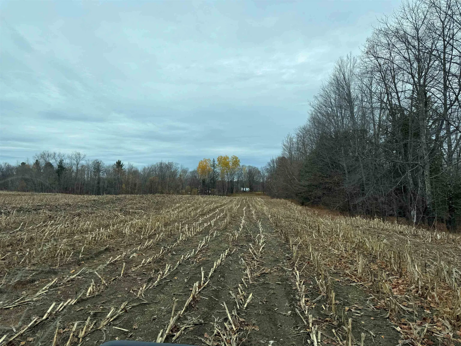 0 Hinman Settler Road Brownington VT 05860