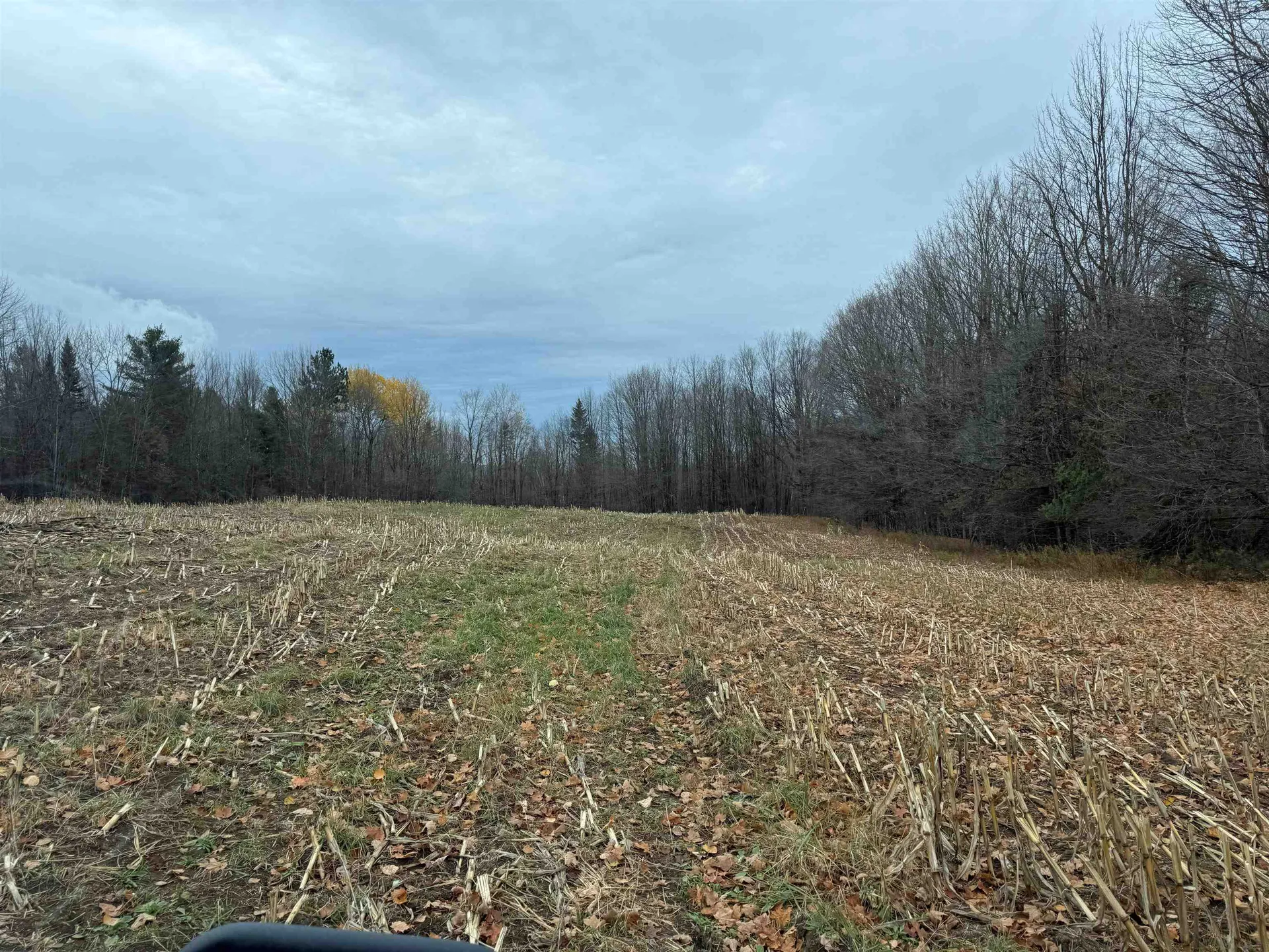 0 Hinman Settler Road Brownington VT 05860