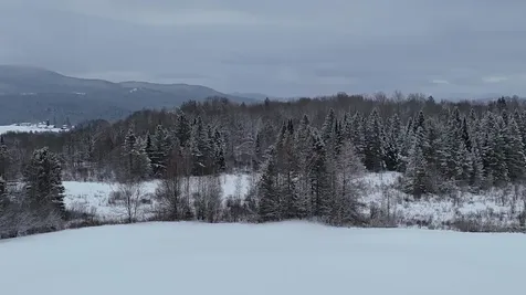 0 Hinman Settler Road Brownington VT 05860