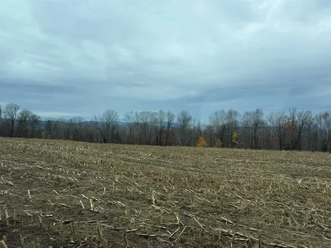 0 Hinman Settler Road Brownington VT 05860
