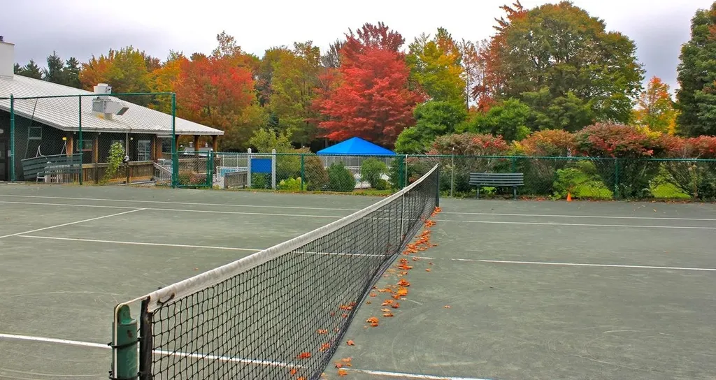 42 Lower Phase Road Warren VT 05674