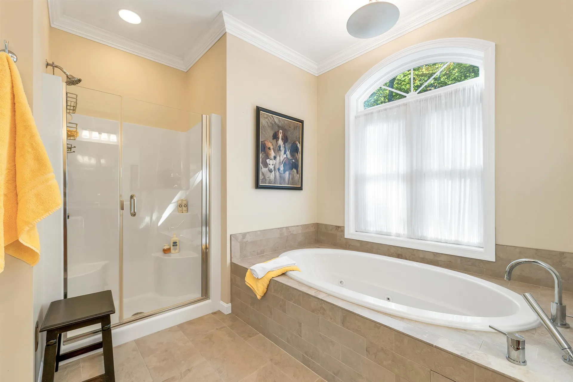 19 Abenaki Lane Moultonborough NH 03254