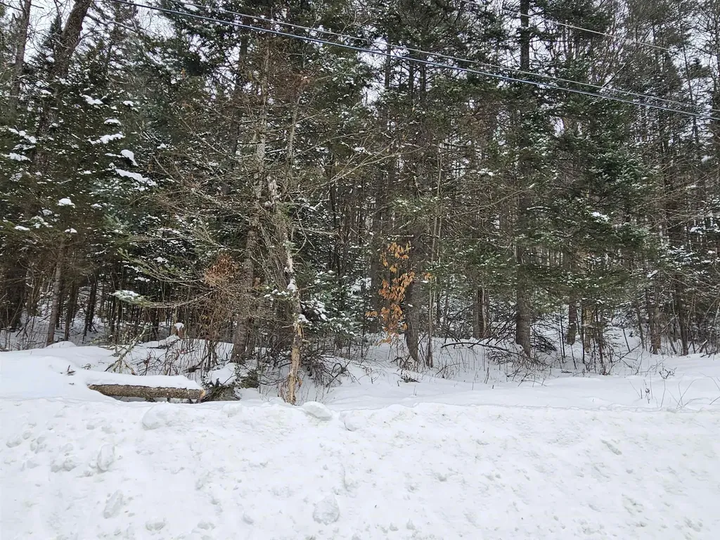 Lot 11 Brook Road Lyman NH 03585