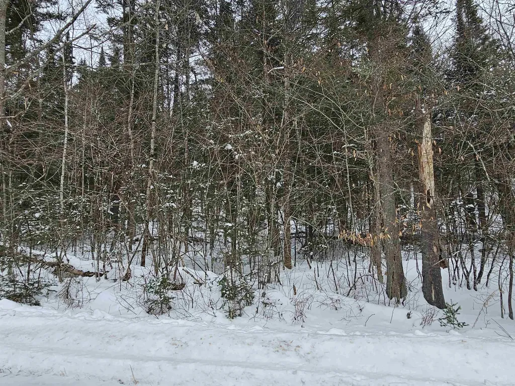 Lot 11 Brook Road Lyman NH 03585