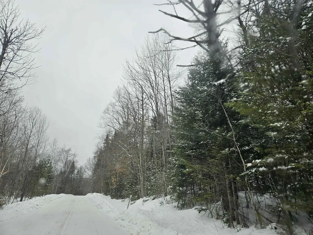 Lot 11 Brook Road Lyman NH 03585