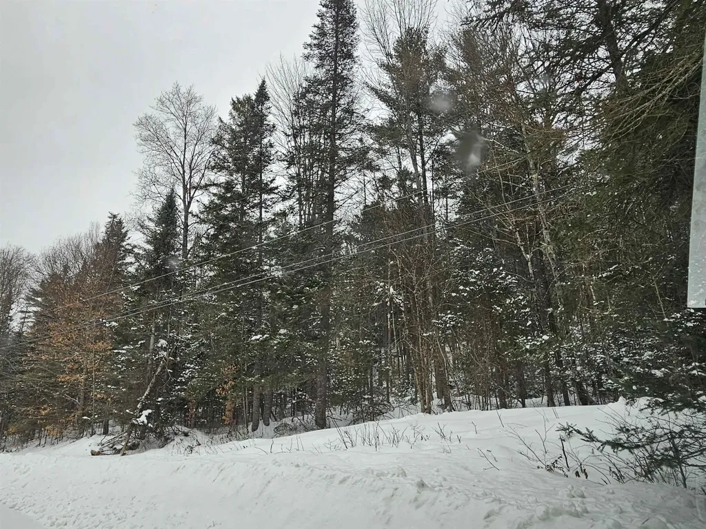 Lot 11 Brook Road Lyman NH 03585