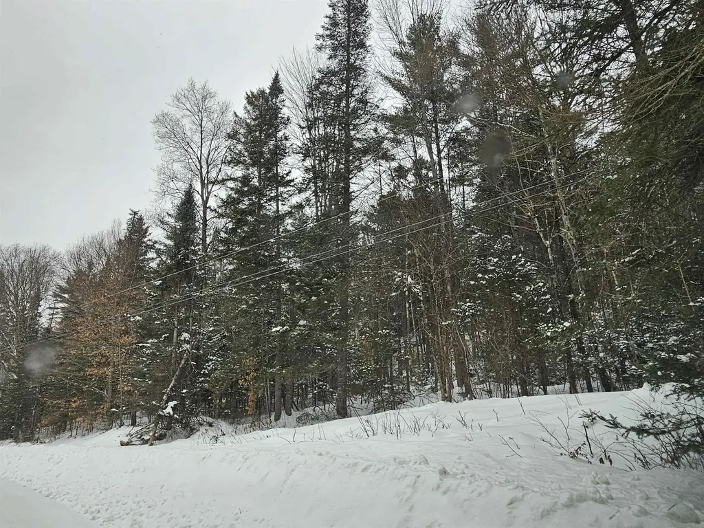 Lot 11 Brook Road Lyman NH 03585