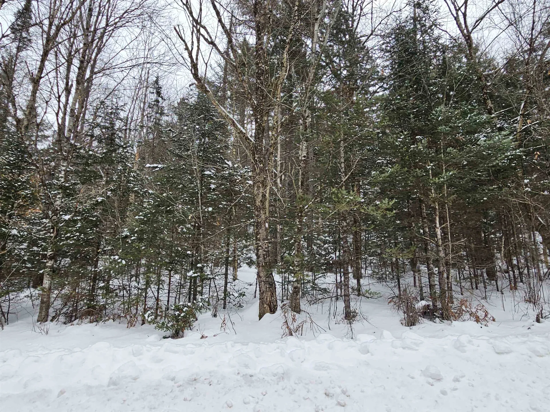 Lot 11 Brook Road Lyman NH 03585