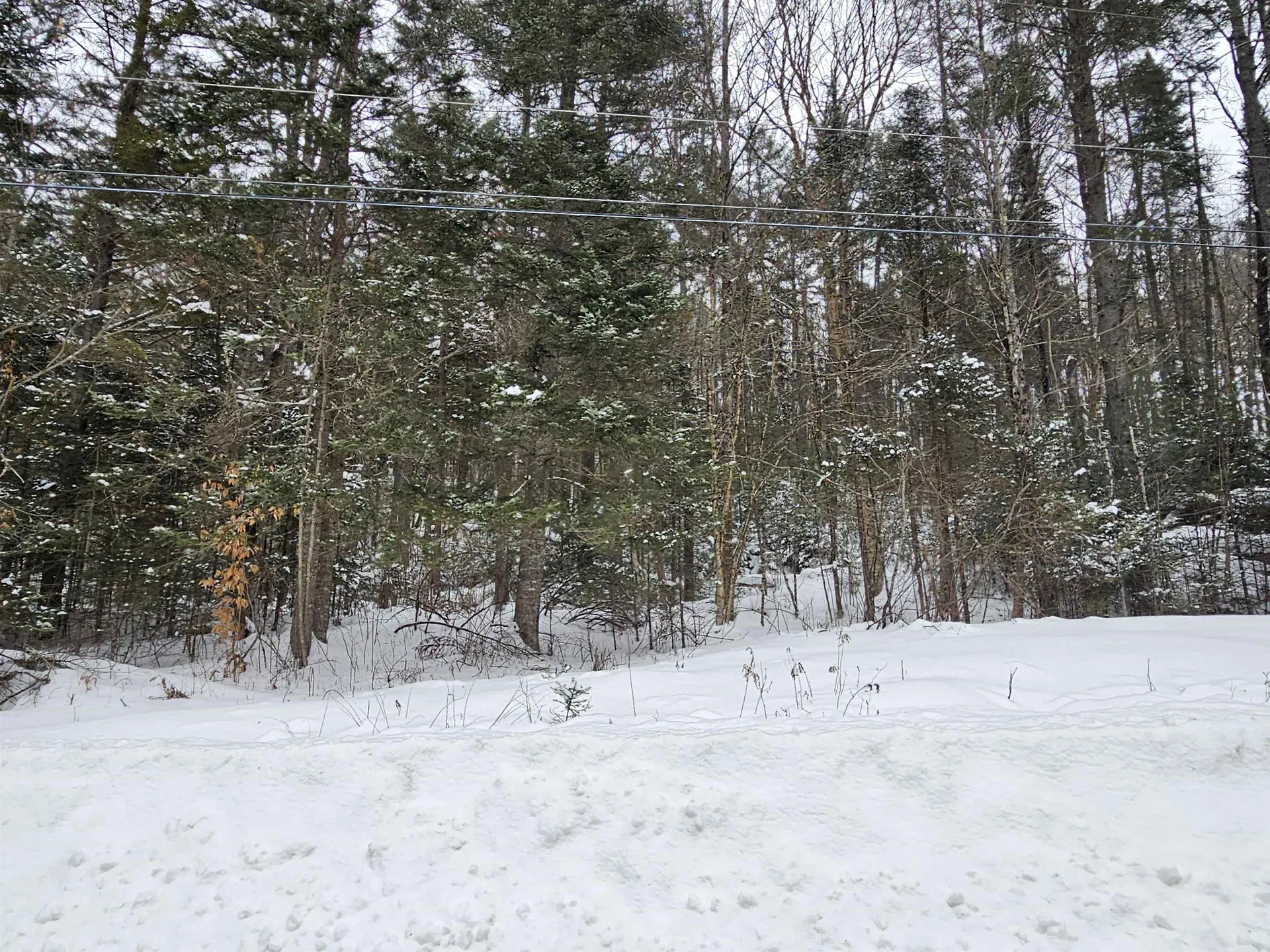 Lot 11 Brook Road Lyman NH 03585