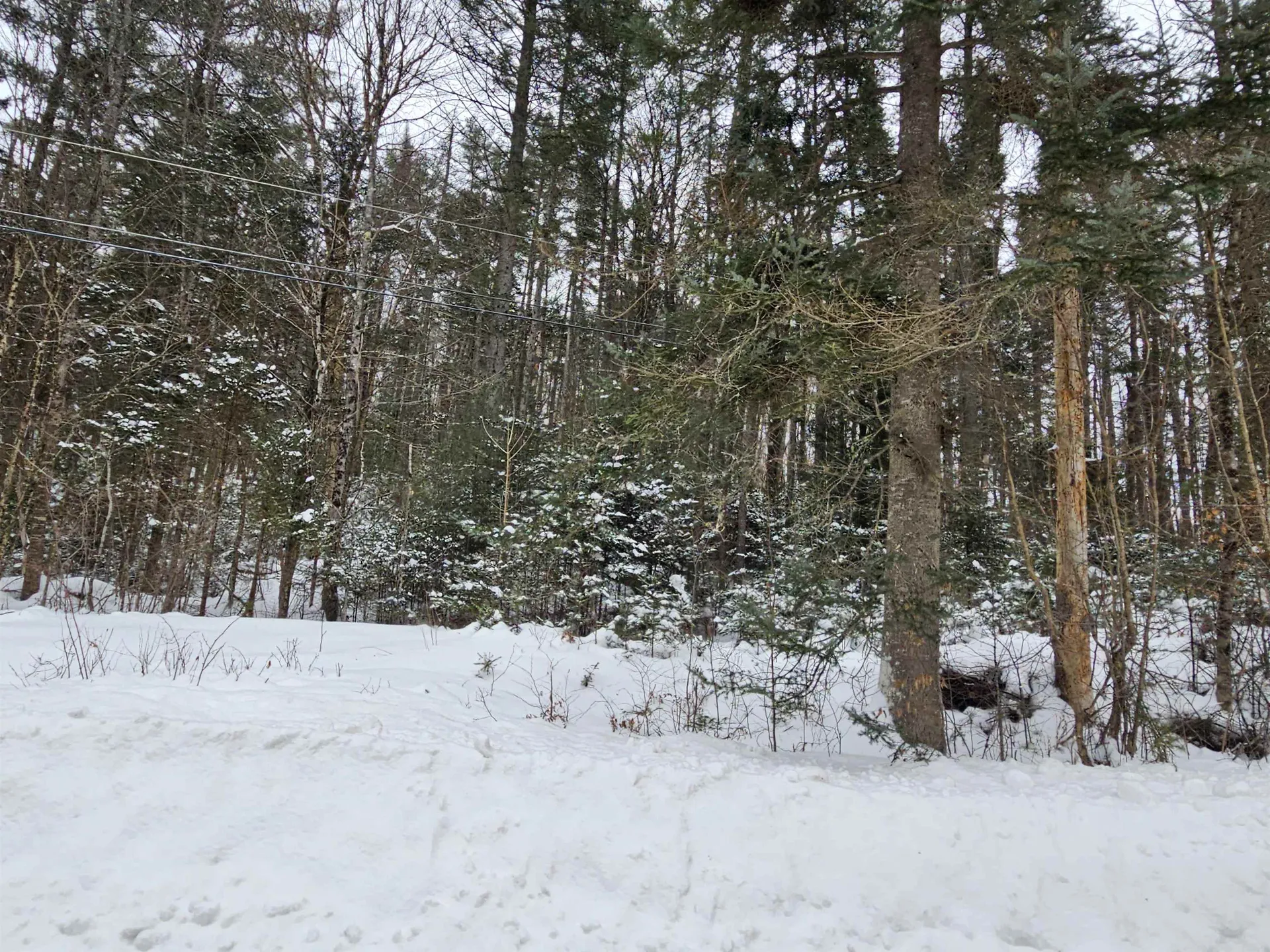 Lot 11 Brook Road Lyman NH 03585