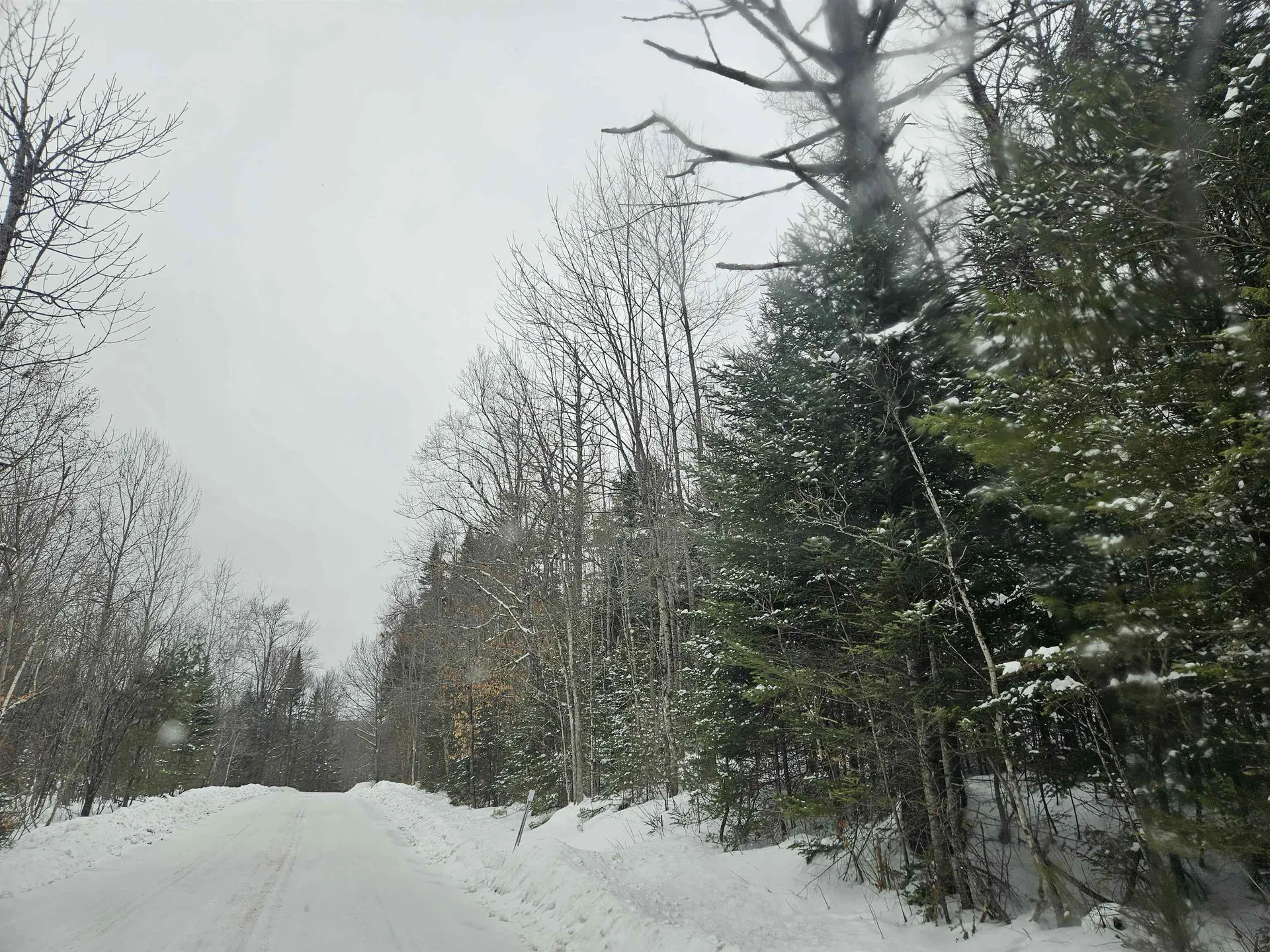 Lot 11 Brook Road Lyman NH 03585