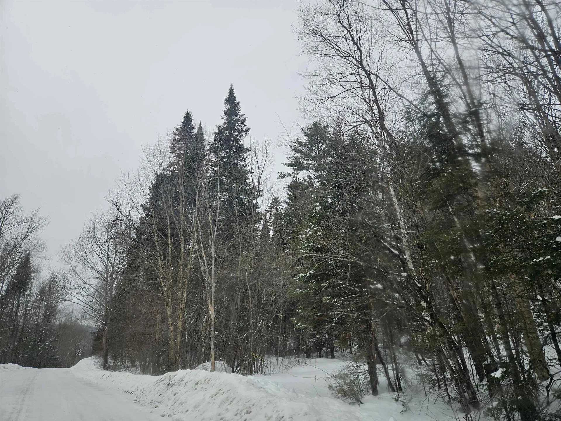 Lot 11 Brook Road Lyman NH 03585