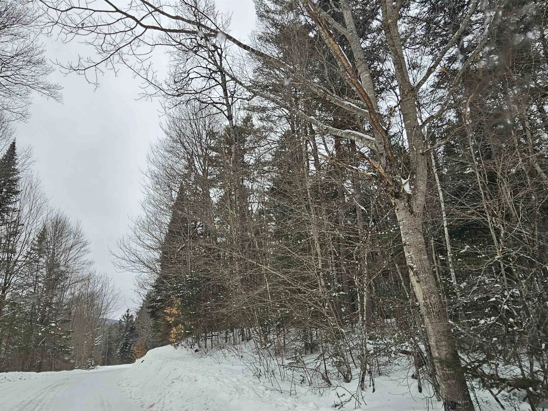 Lot 11 Brook Road Lyman NH 03585