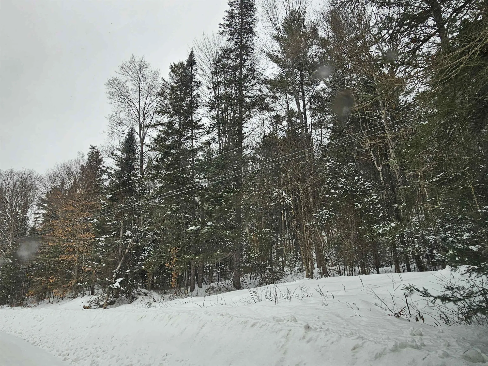 Lot 11 Brook Road Lyman NH 03585