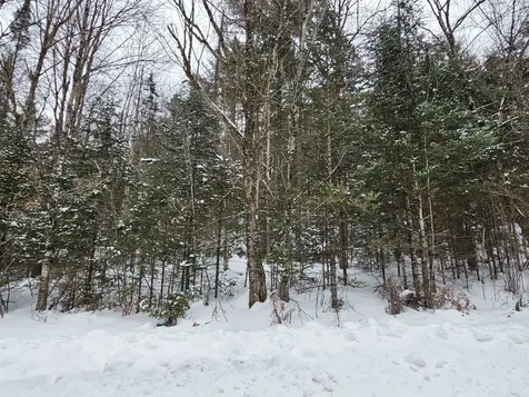 Lot 11 Brook Road Lyman NH 03585