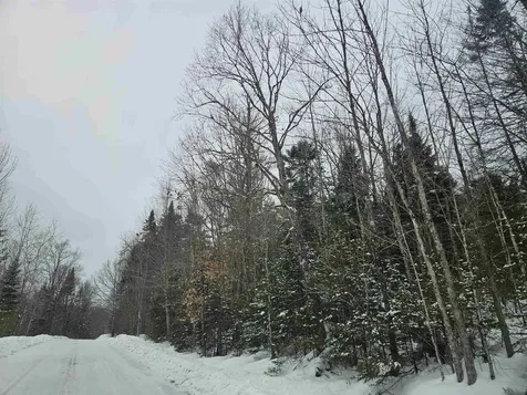 Lot 11 Brook Road Lyman NH 03585
