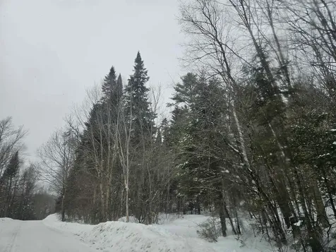 Lot 11 Brook Road Lyman NH 03585